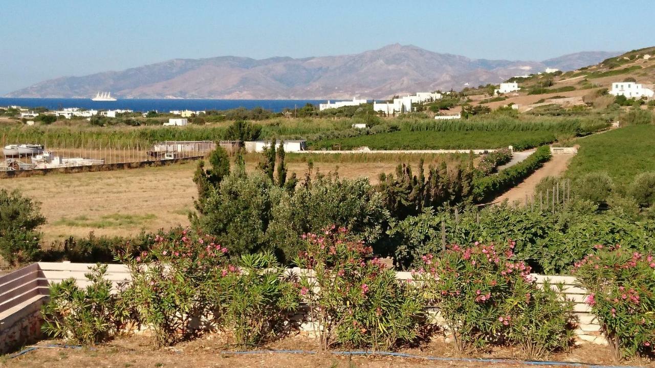 Kampos Villa Ambelas Bagian luar foto